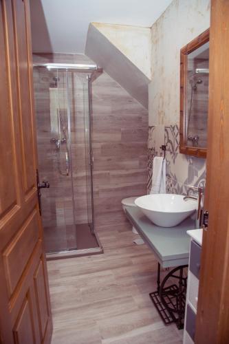 a bathroom with a shower and a sink and a toilet at CASA CUATRO ESQUINAS in Sotillo de la Adrada