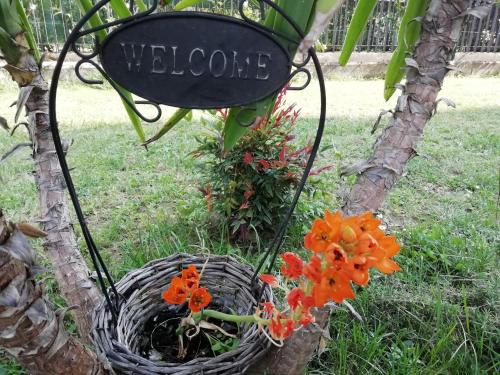 a basket with flowers in it next to a tree at A&G Apartment in Zanica