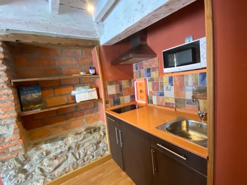 a small kitchen with a sink and a microwave at Apartamentos Alquitara in Potes