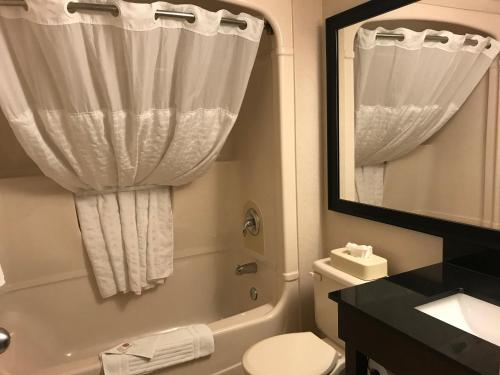 a bathroom with a shower and a toilet and a sink at Comfort Inn in Brantford