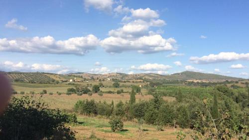 uma vista para um campo com árvores e montanhas em Tenuta Santa Maria em Campagnatico