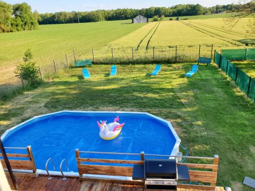 a pool with a plastic unicorn in a field at Maison villa de charme in Saasenheim