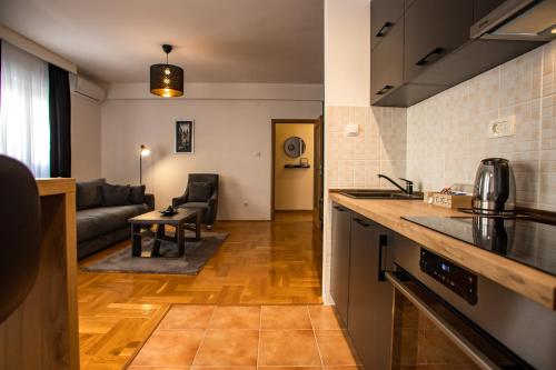 Кухня или мини-кухня в Apartment Podgorica
