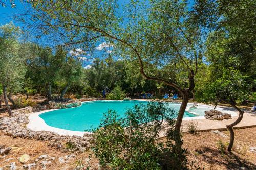 una piscina en un patio con un árbol en Sa Casa Rotja, en Sineu