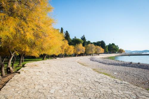 a tree lined road next to a body of water at Apartments Lovrić in Vodice
