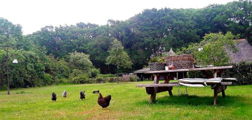 Galeriebild der Unterkunft Bed & Breakfast Markelo in Markelo