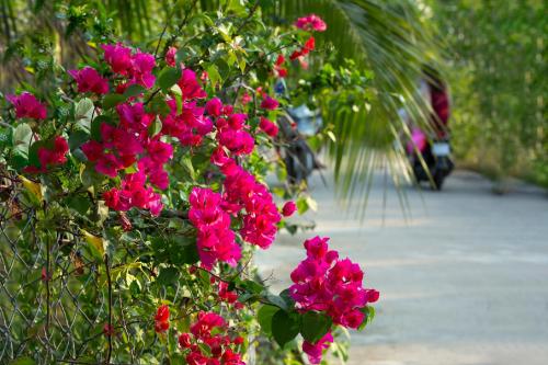 Spring Garden Homestayにある庭