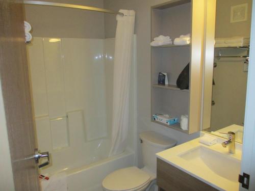 uma casa de banho com um chuveiro, um WC e um lavatório. em Microtel Inn & Suites by Wyndham Vernal/Naples em Vernal