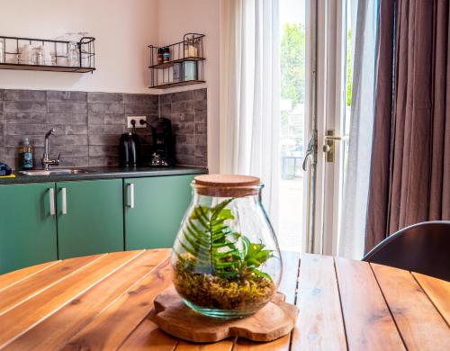 a glass jar with a plant in it on a wooden table at Bed en Bike Texel in Den Burg
