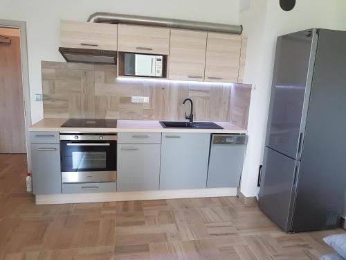 a kitchen with a sink and a refrigerator at Apartmány Stráň in Potŭčky