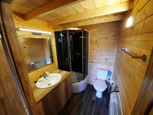 a small bathroom with a sink and a toilet at Niewygodny Domek z własnym podwórkiem in Wisełka