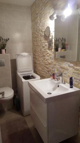 La salle de bains est pourvue de toilettes, d'un lavabo et d'un lavabo. dans l'établissement LE FONTAGNEL N°310, à Molines-en-Queyras