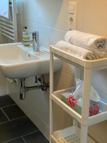 a bathroom with a sink and a shelf with towels at FeWo Haus 4 in Lahr