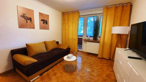 Televízia a/alebo spoločenská miestnosť v ubytovaní Apartament Motylek