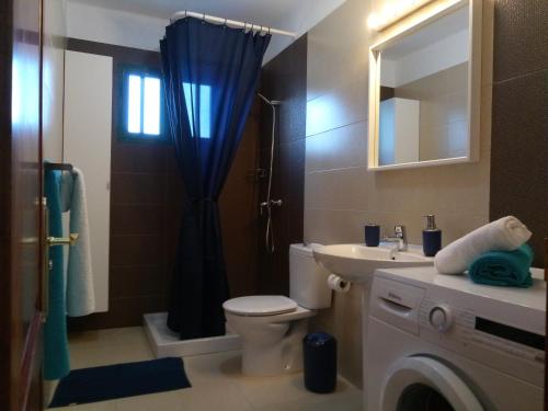 a bathroom with a toilet and a sink and a shower at Apartamentos Carlota in Puerto del Carmen