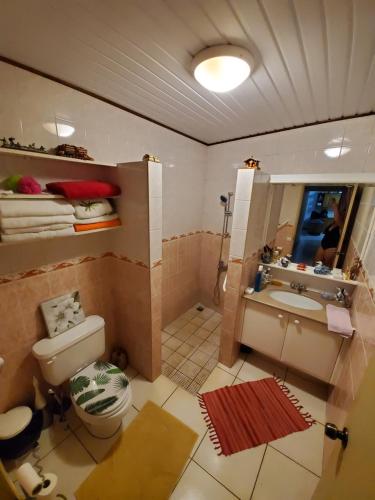 ein Badezimmer mit einem WC, einem Waschbecken und einem Spiegel in der Unterkunft Private Room in our Home Stay by Kohutahia Lodge, 7 min by car to airport and town in Faaa