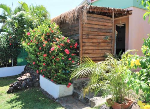 Zahrada ubytování Complexe La Providencia - Villa, Duplex, Studio, jacuzzi