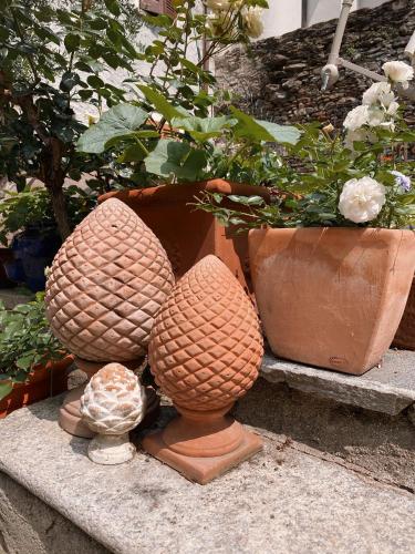 three different colored vases sitting next to a plant at Antica Sosta dei Viandanti in Cadenazzo