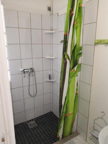 a shower with a green shower curtain in a bathroom at Zoiseaux Paradis in Ravine des Cabris