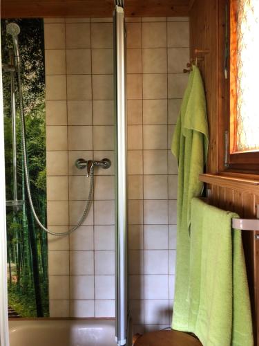 y baño con ducha y toalla verde. en Gartenlandhaus, en Dohma