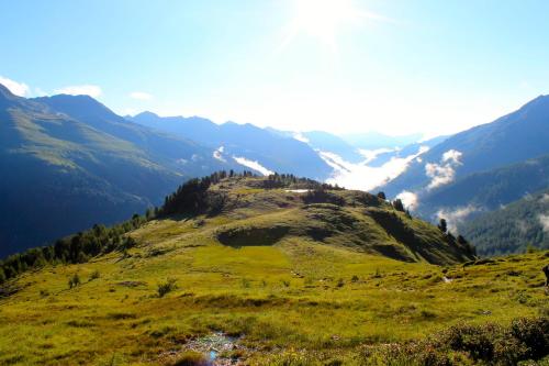 a grassy hill with mountains in the background at OLYMPIA Privathotel Garni in Sankt Jakob in Defereggen