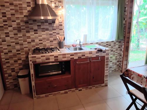 a kitchen with a stove and a sink at Les Hibiscus de la Rivière in Saint-Louis