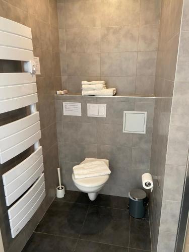 a small bathroom with a toilet and towels at Le Relais de l'Orangerie in Strasbourg