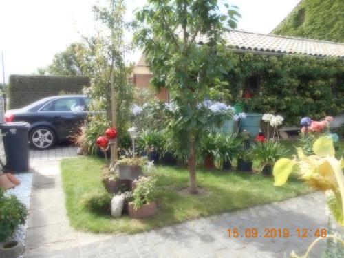 a garden in front of a house with trees and plants at Vermiete sehr schönes Apartment in Dankerode im Harz in Dankerode