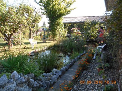 a garden with a pond and rocks and plants at Vermiete sehr schönes Apartment in Dankerode im Harz in Dankerode