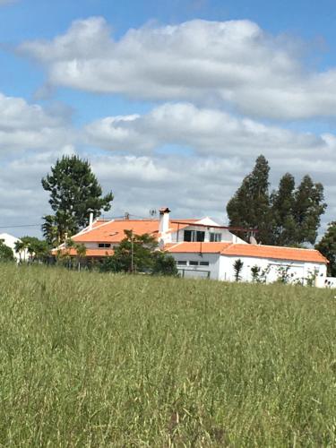a house on a hill with a field of grass at Monte Ramos in Ferreira do Alentejo