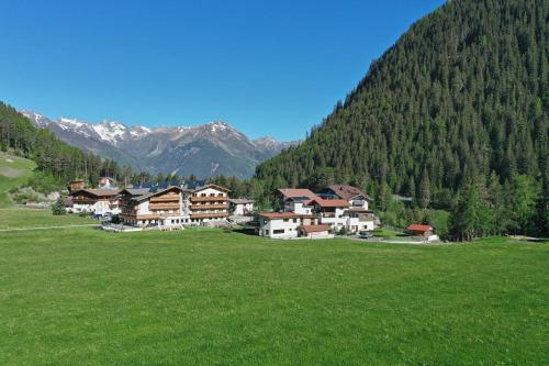 a group of houses in a green field with mountains at Apart Anemone in Niederthai