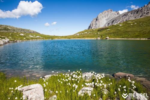 a lake in the mountains with white flowers in the grass at Hotel La Chaudanne in Méribel