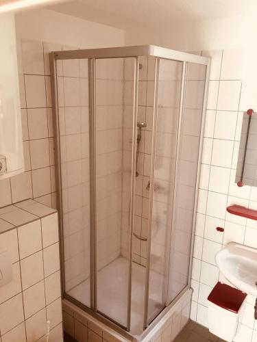 a shower with a glass door in a bathroom at ZirkelsteinResort gGmbH in Schöna