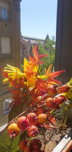 a plant with red and yellow flowers in a window at Butterfly Home Danube in Budapest
