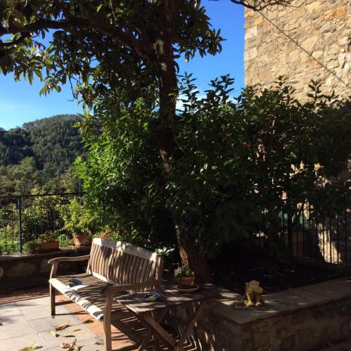 a wooden bench sitting under a tree next to a tree at La Sosta di Ottone III in Levanto