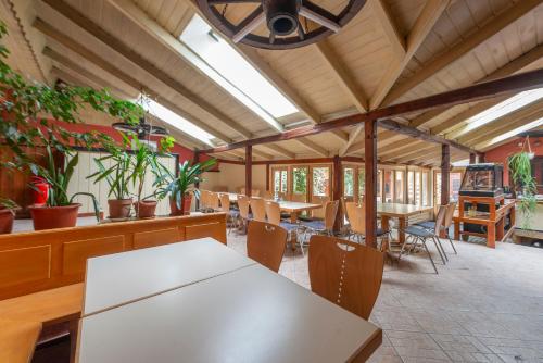 a dining room with tables and chairs and plants at Burg Hostel Sighisoara in Sighişoara