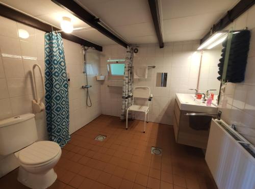 bagno con servizi igienici e lavandino di B&B Verwoldsehof 'Op de deel' a Laren