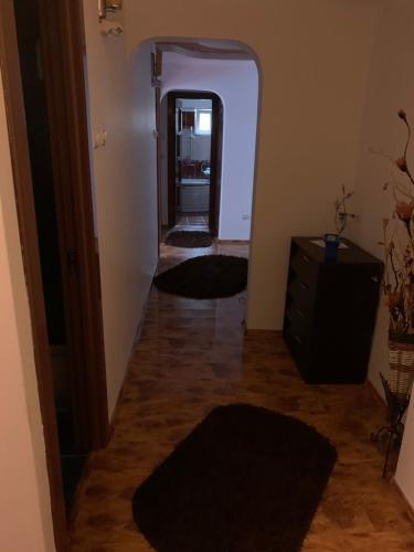 Posezení v ubytování Anastasia apartament 3 camere 2 băi