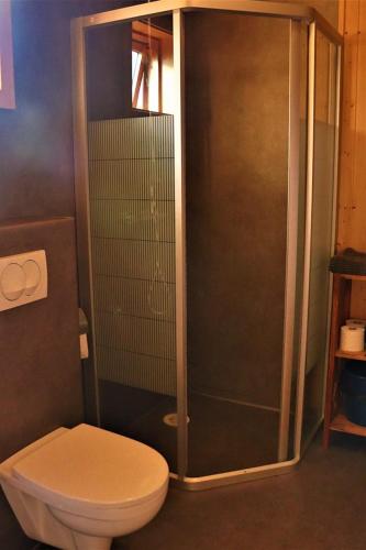a bathroom with a toilet and a glass shower at Fossatún Sunset Cottage in Fossatún