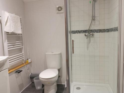 a white bathroom with a toilet and a shower at Honeybee Cottage in Hull