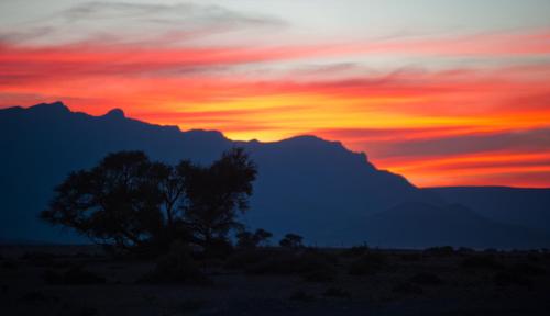 una puesta de sol en el desierto con un árbol y montañas en Namib Desert Campsite, en Solitaire