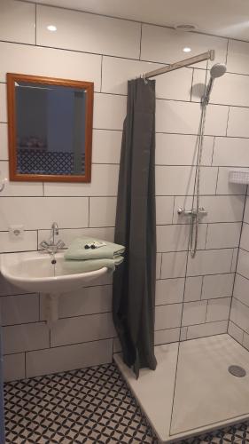 a bathroom with a sink and a shower at 2 persoons appartement Le Garage in Frieschepalen