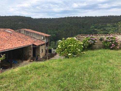 una vieja casa de piedra en una colina de hierba con flores en CASA TINA, en Ruiseñada