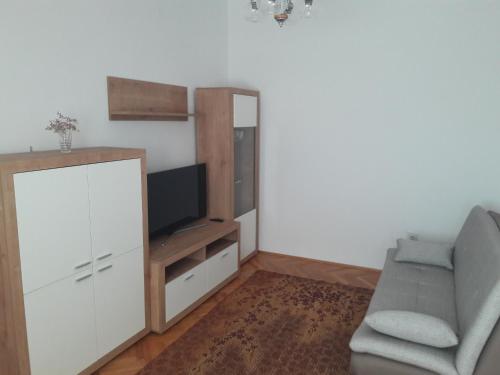 TV a/nebo společenská místnost v ubytování Apartment Bise