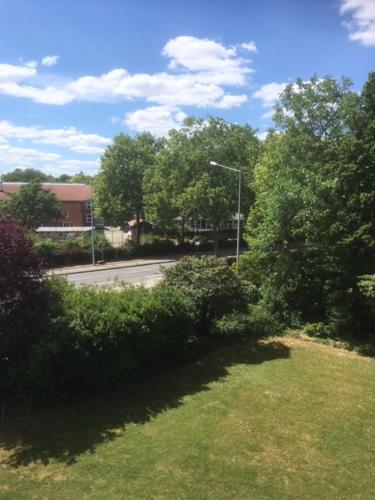 a view of a street with trees and a street light at Businessappartement Nr 2 in Worms