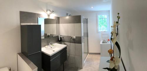 uma casa de banho com um lavatório, um chuveiro e um lavatório. em Jolie petite maison en Ardèche du sud em Berrias Et Casteljau