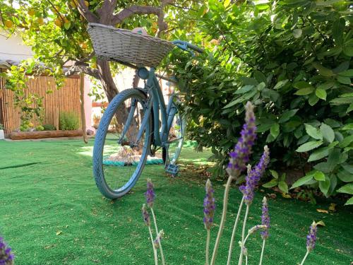 a bike with a basket parked in a garden at BnB Le Janas in Càbras
