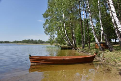a wooden boat sitting on the shore of a lake at Duriu sodyba in Molėtai