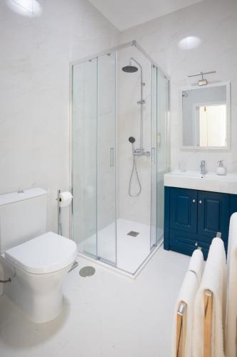 a bathroom with a shower and a toilet and a sink at Casa D'Oliveira in Aveiro