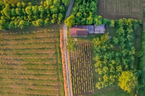 an overhead view of a field with a house at Village Wine House in Mandićevac